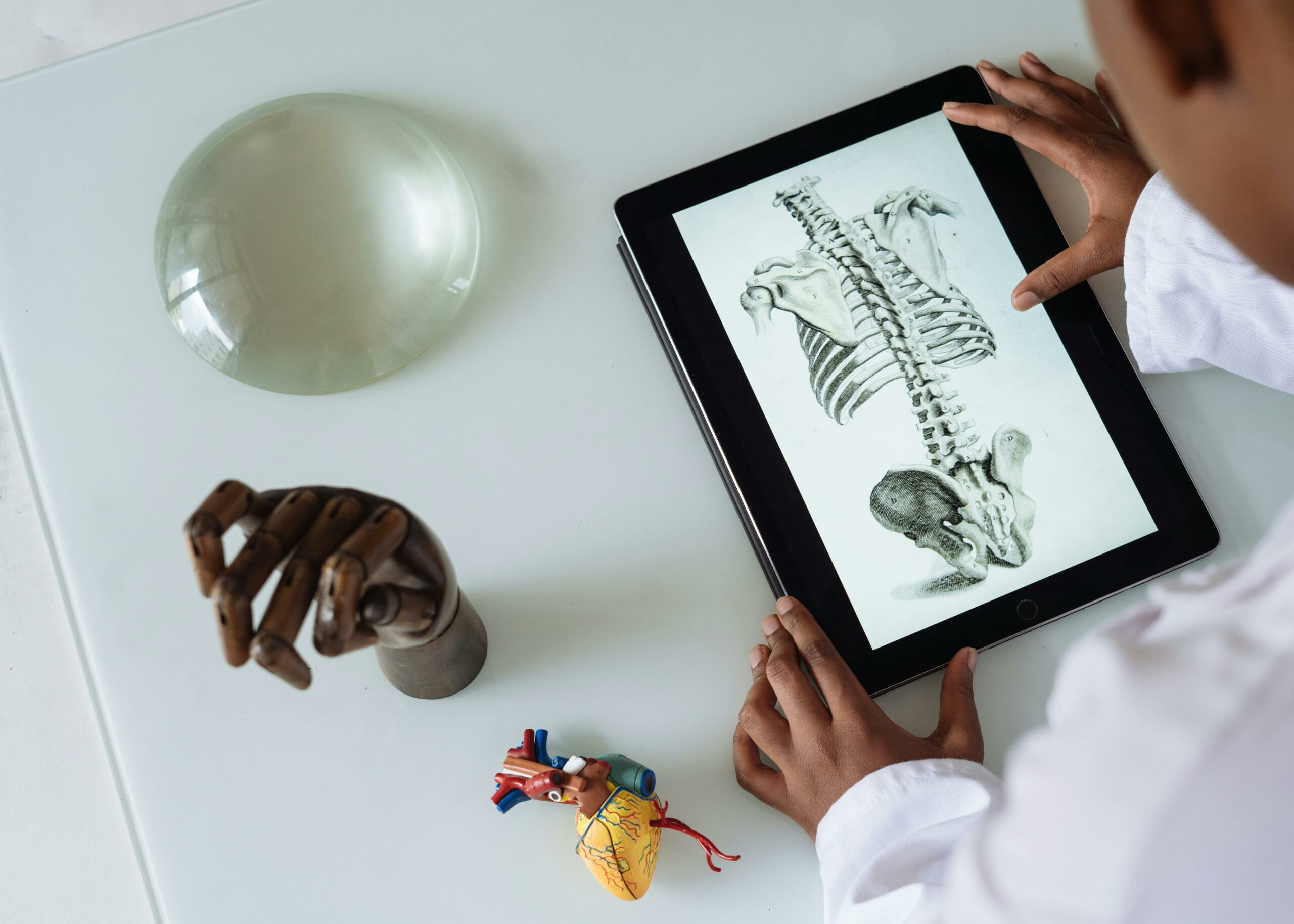 Nicht Erkennbarer Afroamerikanischer Wissenschaftler, Der Anatomie Mit Tablette Studiert