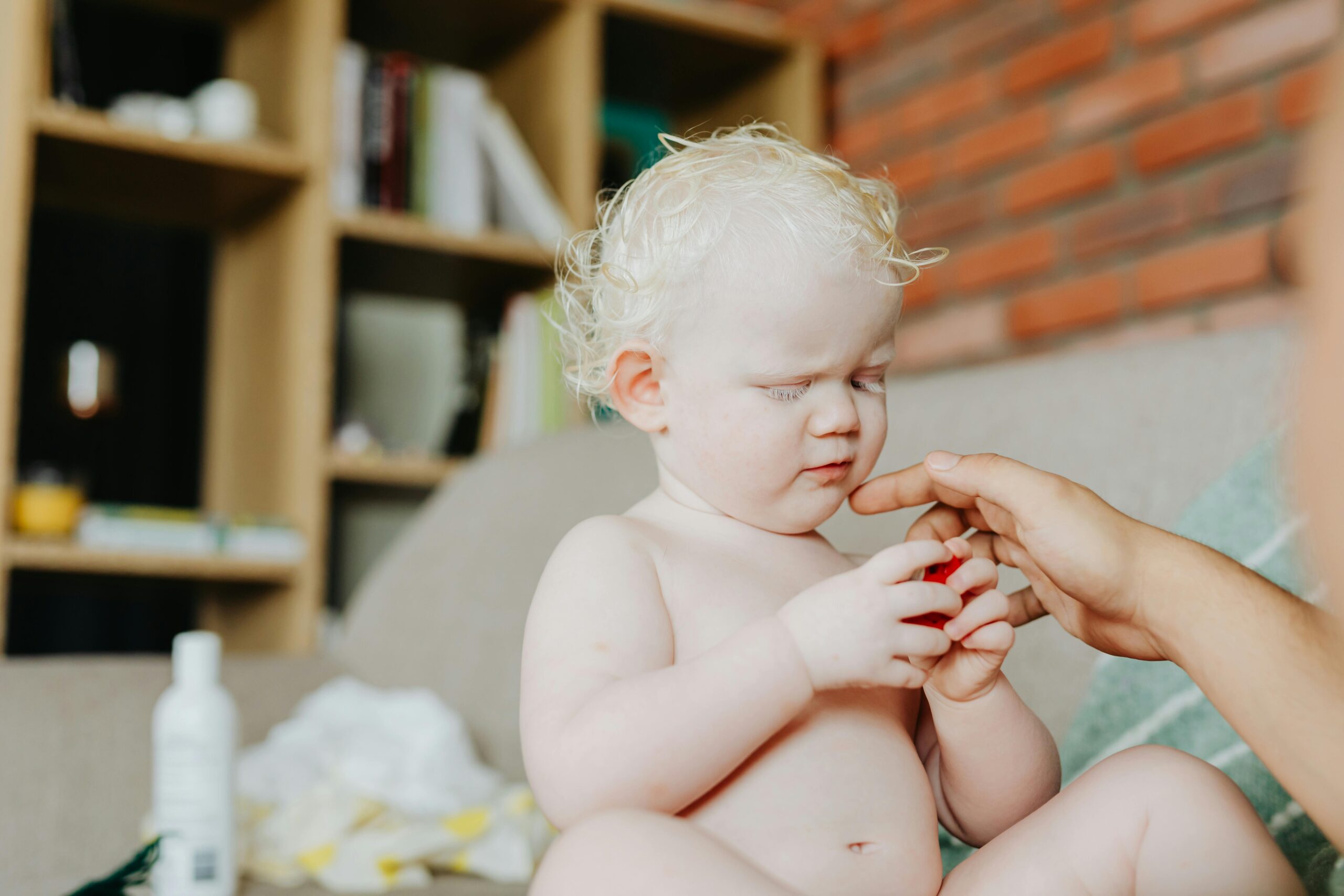 Kostenloses Stock Foto zu #indoor, albino, ausdrucksvoll